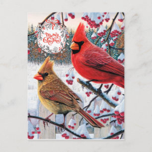 Christmas Cardinals Postcard