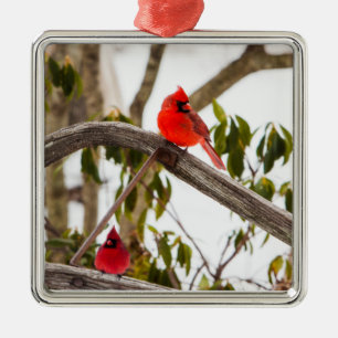 Christmas Cardinals Scene Metal Ornament