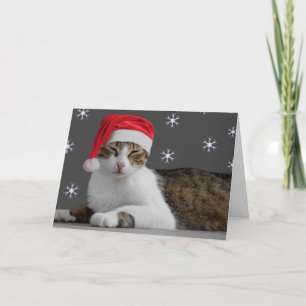 Christmas Cards