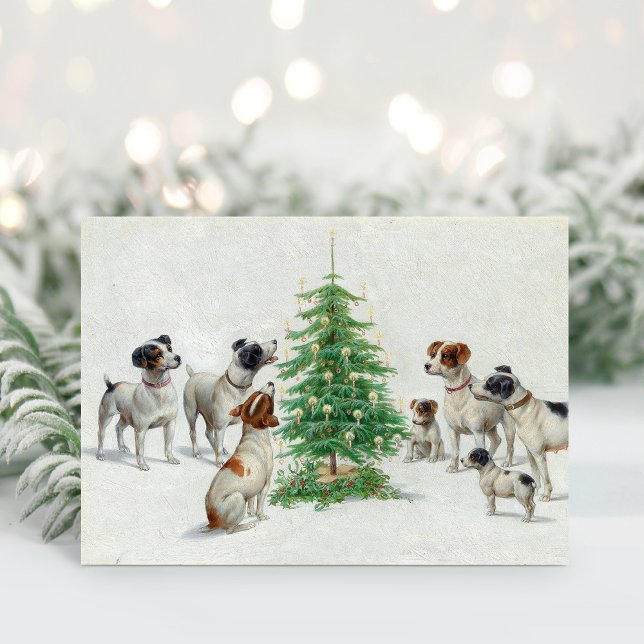 Christmas | Carl Reichert Card (Creator Uploaded)