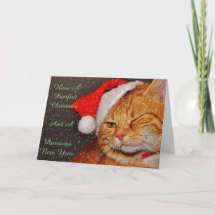 Christmas Cat Card