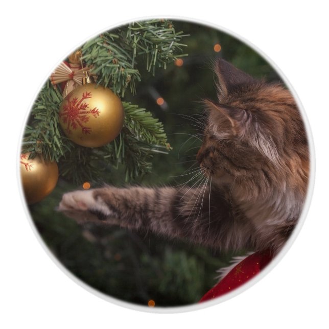 Christmas Cat Ceramic Knob (Front)