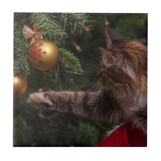 Christmas Cat Ceramic Tile (Front)