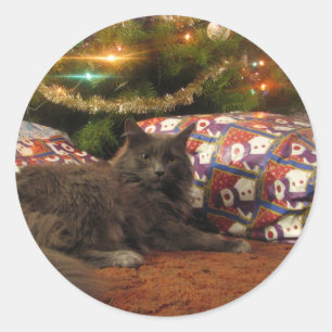 Christmas Cat Classic Round Sticker