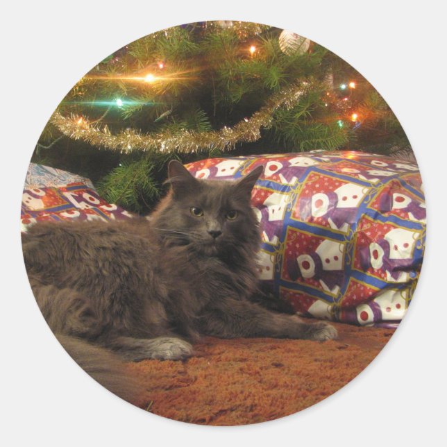 Christmas Cat Classic Round Sticker (Front)