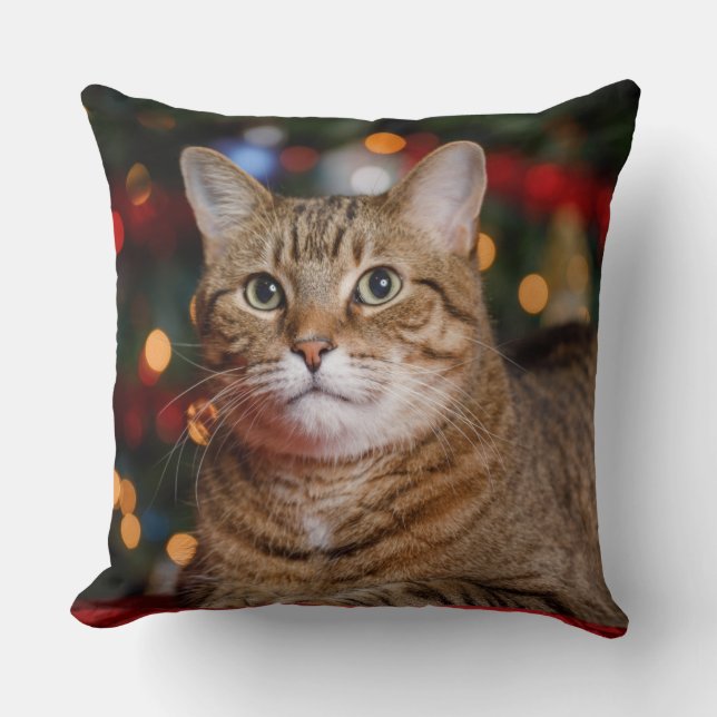 Christmas Cat Cushion (Front)