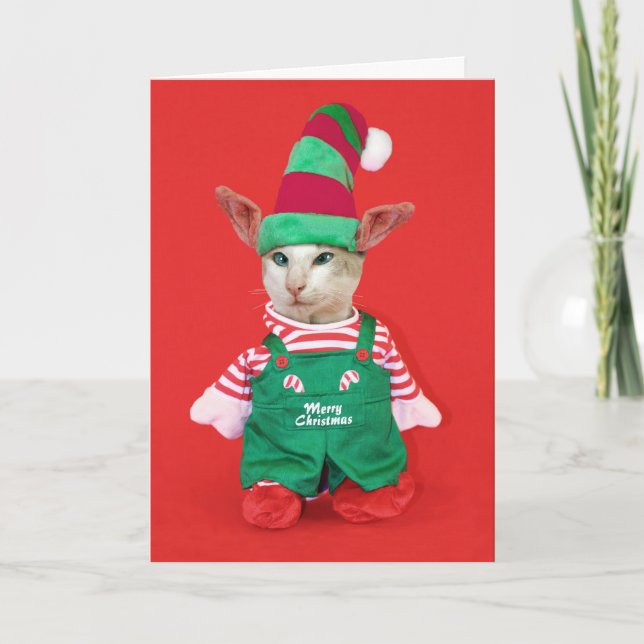 Christmas Cat Elf Holiday Card (Front)