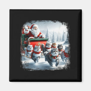 Christmas Cat Funny Cats For Everybody Xmas Men Wo Magnet