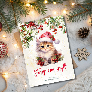 Christmas cat furry and bright holiday card