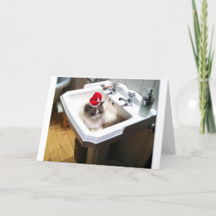 Christmas Cat Holiday Card