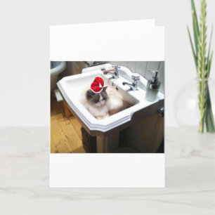 Christmas Cat Holiday Card