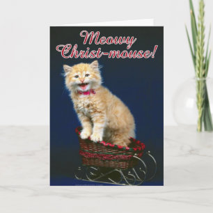 Christmas Cat Holiday Card