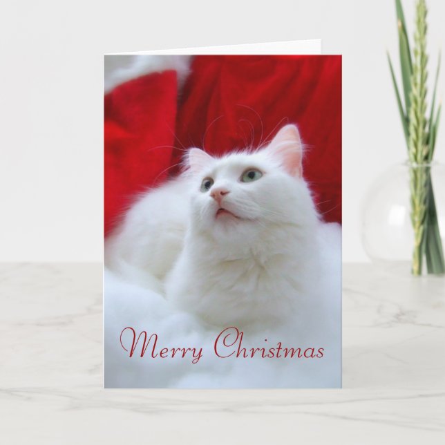 Christmas Cat Holiday Card (Front)