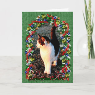 Christmas Cat Holiday Kitten Xmas Pet Message Card