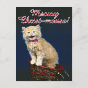 Christmas Cat Holiday Postcard