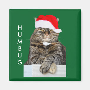 Christmas Cat Humbug Photo with Santa Hat Magnet