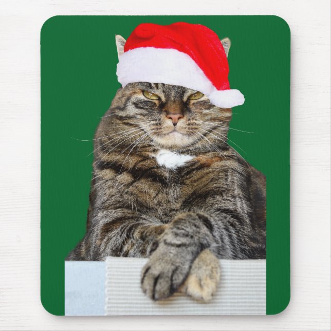 Christmas Cat Humbug Photo with Santa Hat Mouse Pad (Front)