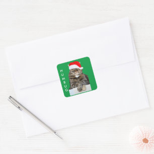 Christmas Cat Humbug Photo with Santa Hat Square Sticker