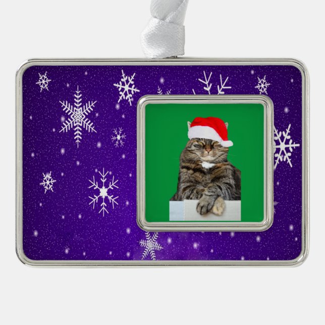 Christmas Cat Humbug & Snow Photo Framed Ornament (Front)