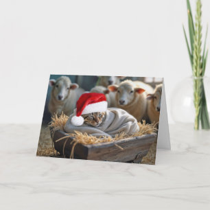 Christmas Cat In Barn Manger Holiday Card