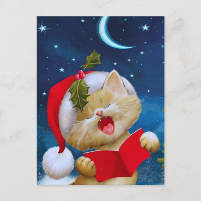 Christmas Cat in  night  Holiday Card (Front)