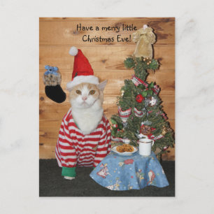 Christmas Cat/Kitty in PJs Holiday Postcard