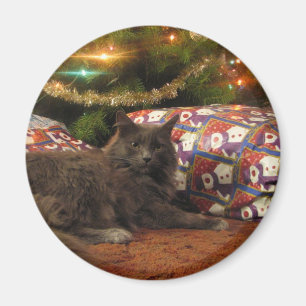 Christmas Cat Magnet