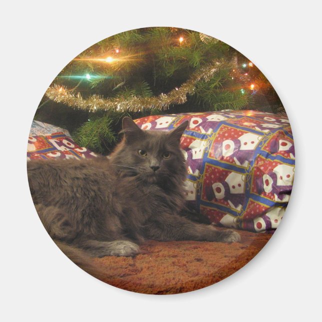 Christmas Cat Magnet (Front)