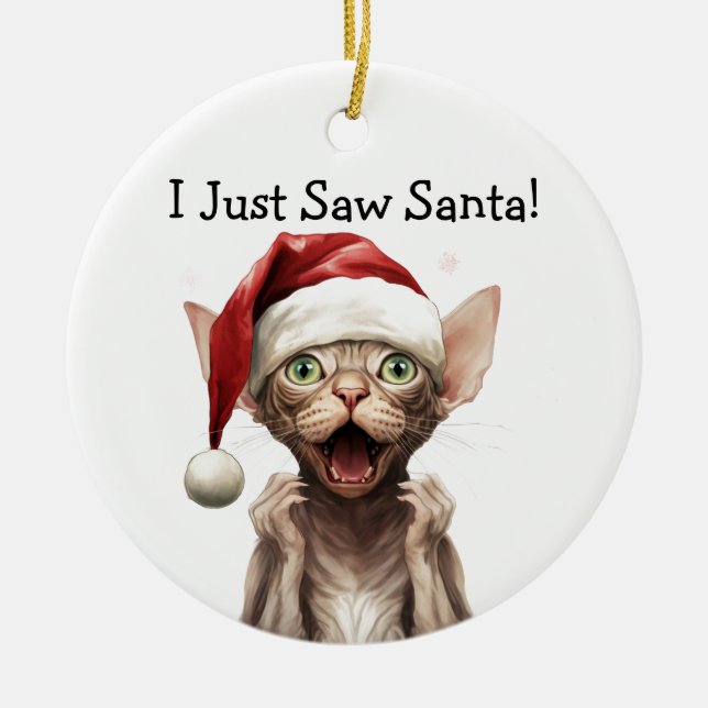 Christmas Cat Ornament (Front)