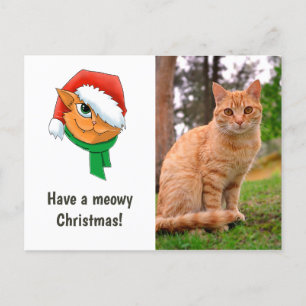 Christmas Cat Photo Holiday Postcard