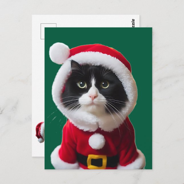 Christmas cat postcard (Front/Back)