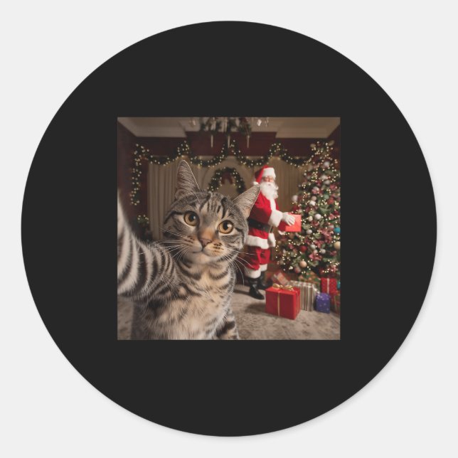 Christmas Cat Selfie With Santa Claus Cute Holiday Classic Round Sticker (Front)