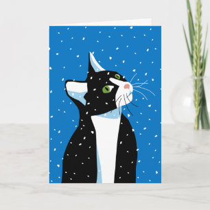 Christmas Cat Staring at Snowflakes Holiday Card