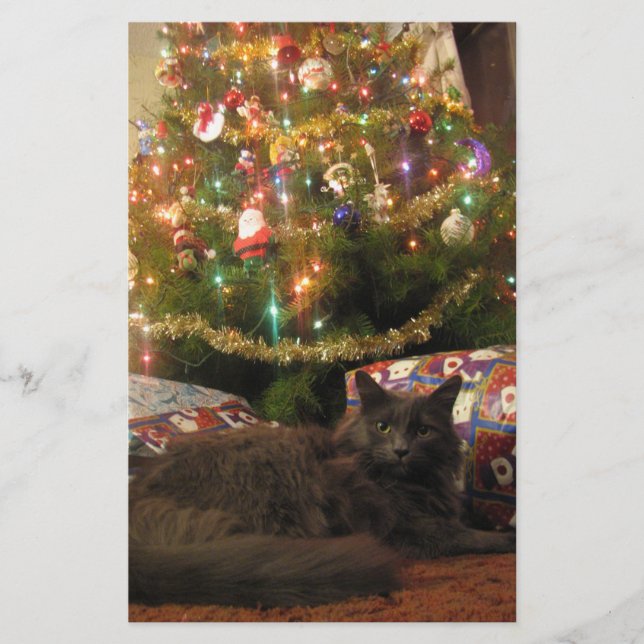 Christmas Cat Stationery (Front)