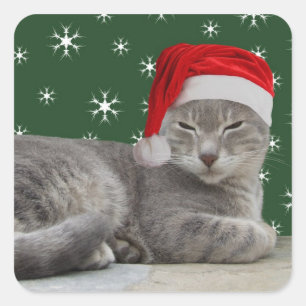 Christmas Cat Stickers