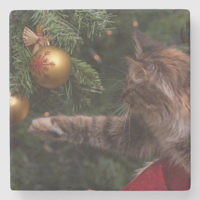 Christmas Cat Stone Coaster (Front)