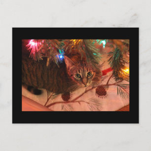 Christmas cat tree postcard