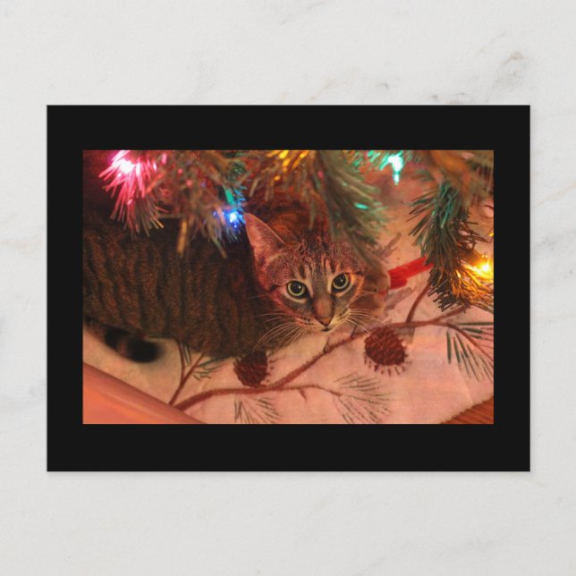Christmas cat tree postcard (Front)