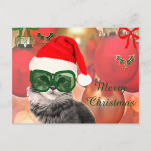 Christmas Cat wearing Santa's hat Holiday Postcard