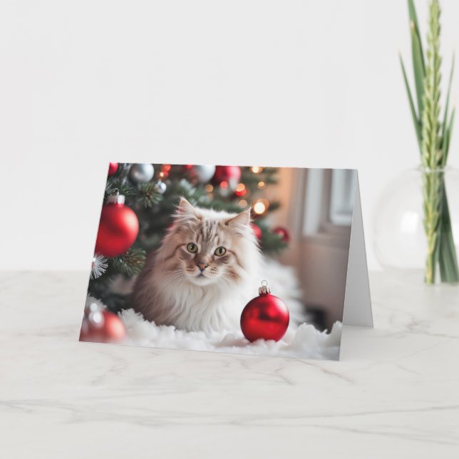 Christmas Cat With Red Ornament Holiday Card (Front)