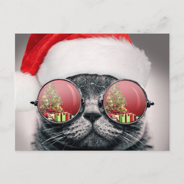 Christmas Cat With Sunglasses Postcard (Front)