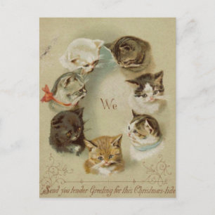 Christmas Cats Card