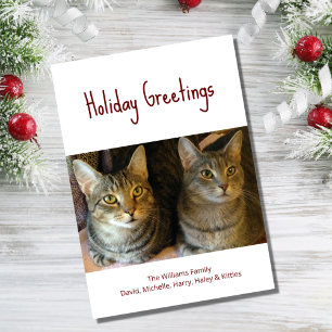 Christmas Cats Cute Festive Red Typography  Holiday Card