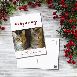 Christmas Cats Cute Festive Red Typography   Holiday Postcard