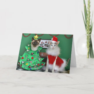 Christmas Cats Holiday Card