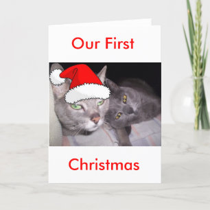 Christmas Cats Holiday Card