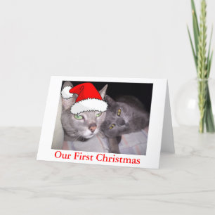 Christmas Cats Holiday Card