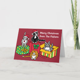Christmas Cats Holiday Card