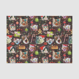 Christmas Cats in Space Galaxy Stars Funny Holiday Tissue Paper