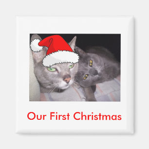 Christmas Cats Magnet